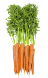 Zanahoria 0.80€ kg