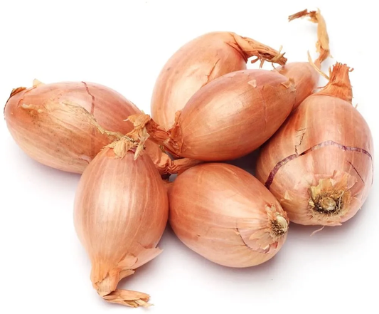 Chalota