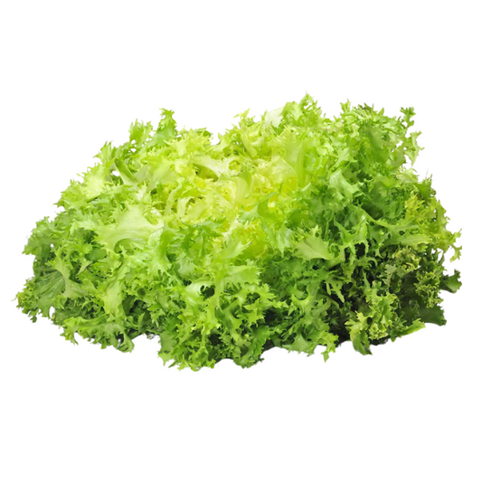 Escarol
