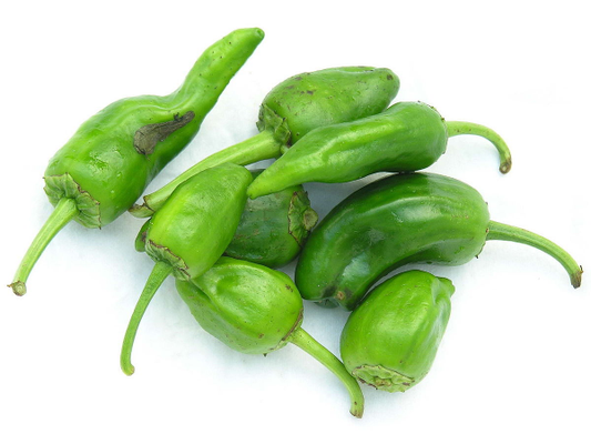 Pimiento de Padrón